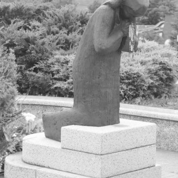 NE MOGU ČITATI O SREDIŠNJOJ BOSNI