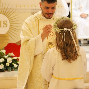 Fra Nikola Jurišić odlazi na službu u Švicarsku