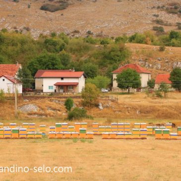 NAŠA OGNJIŠTA I NAŠA BAŠTINA: Mali Kutlovac