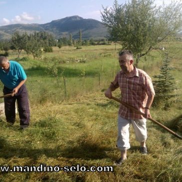 S VRHA GRUDE: Kratke misli o radu