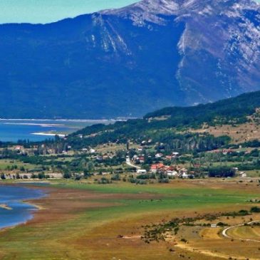 DUVANJSKA PREZIMENA: Ćavarušići