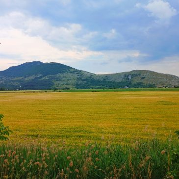 NAŠA OGNJIŠTA I NAŠA BAŠTINA: Ljepota začudna