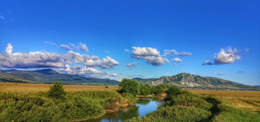 Foto: Ivan Majić