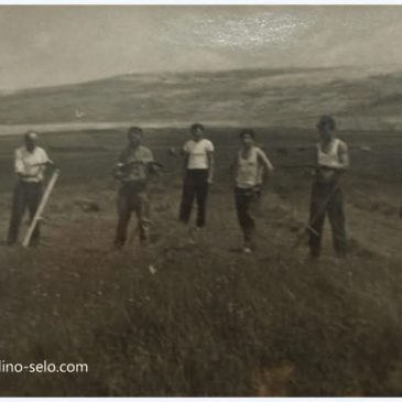 ANTE ŠARAC: Kosci