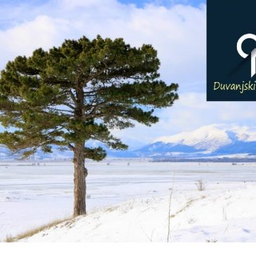 DUVANJSKI POJMOVNIK: Studeno