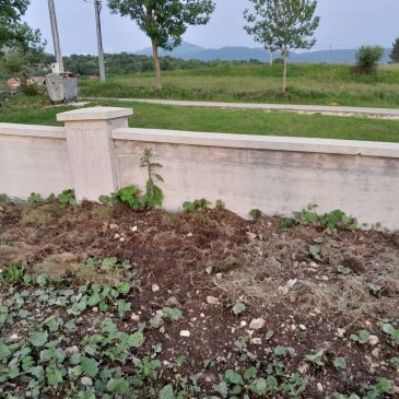 NE VOLIMO KRITIZIRATI ALI OVAJ PUT MORAMO