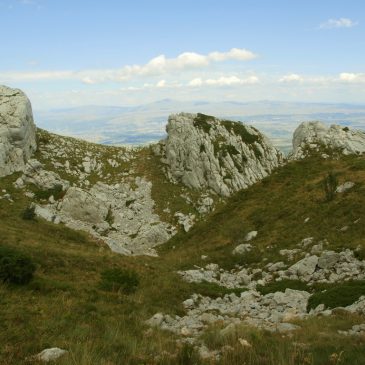 TOMISLAV MAJIĆ: Potrebno je pjesniku