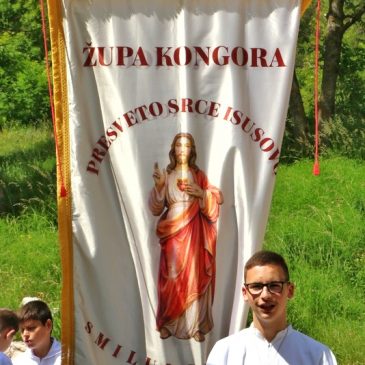 DRAGI ŽUPLJANI, ČESTITAMO BLAGDAN NAŠEGA NEBESKOGA ZAŠTITNIKA – PRESVETO SRCE ISUSOVO