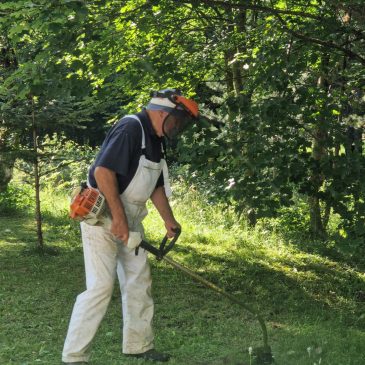 ODRŽANA AKCIJA KOŠENJA TRAVE OKO ŽUPNE CRKVE