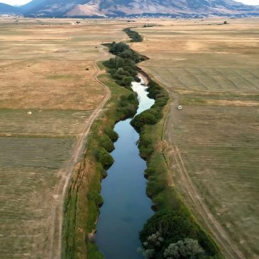 MIJO TOKIĆ: Naše polje