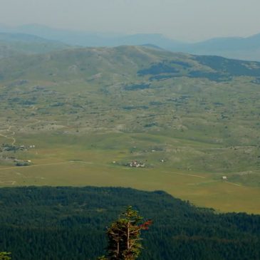 NIŠTARIJINI ZAPISI: Izlet na Trebiševo