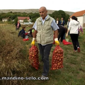 VAĐENJE KRUMPIRA
