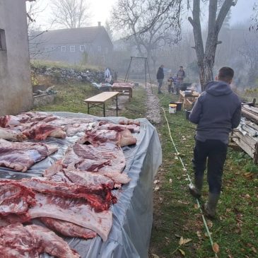 KONGORA: Tradicionalno «klanje krmadi» u duvanjskom kraju