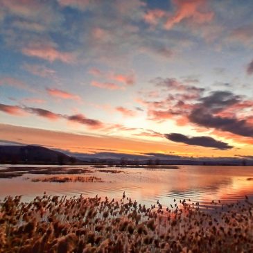 Foto dana: Na Šarčevu jezeru