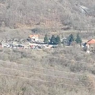 Radica Leko: Zov zavičaja