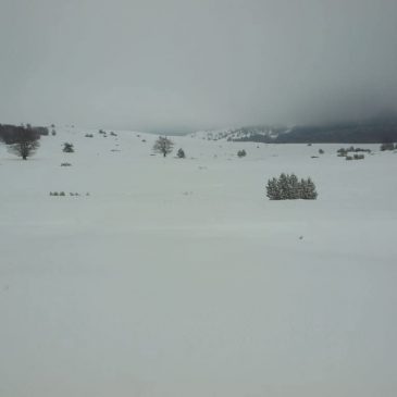 General Bobetko o tragediji na Prokosu