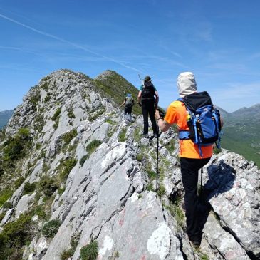 Što ti je čovjek…