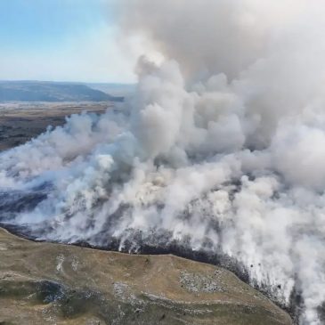 Požar na Ljubuši stavljen pod kontrolu