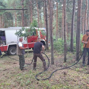 Brzom intervencijom ugašen požar u Grlima