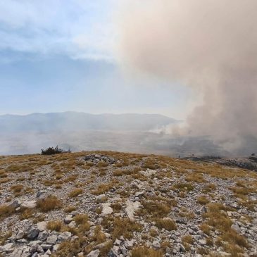 Požar na Ljubuši pod kontrolom, spriječeno širenje prema Vranu