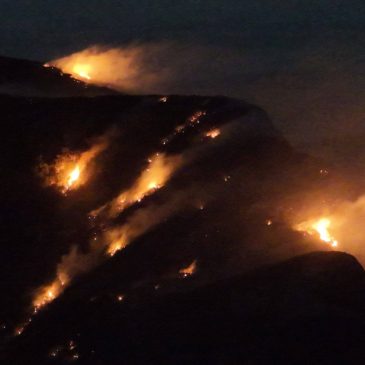 Požar se rasplamsao na Čvrsnici: Pogledajte kako je izgledalo sinoć