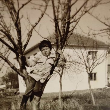 IZ ARHIVE: Mandoseljska zagonetka
